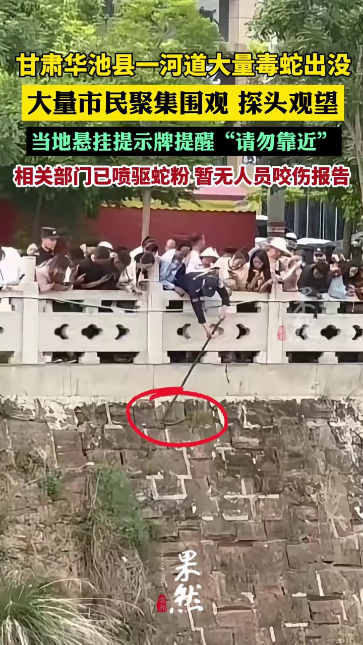 甘肃华池县一河道大量蛇出没 相关部门已喷驱蛇粉，暂无人员咬伤报告