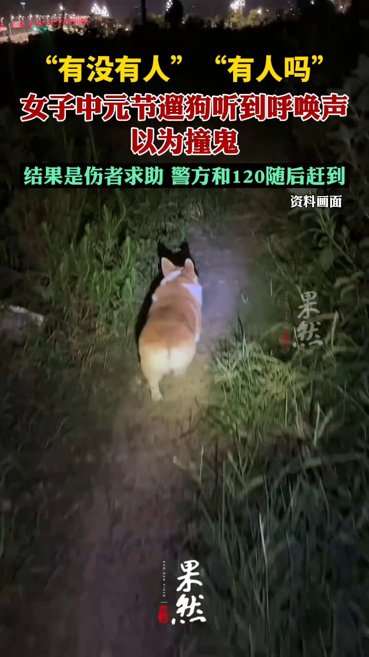 女子中元节遛狗听到呼唤声以为撞鬼（潇湘晨报）