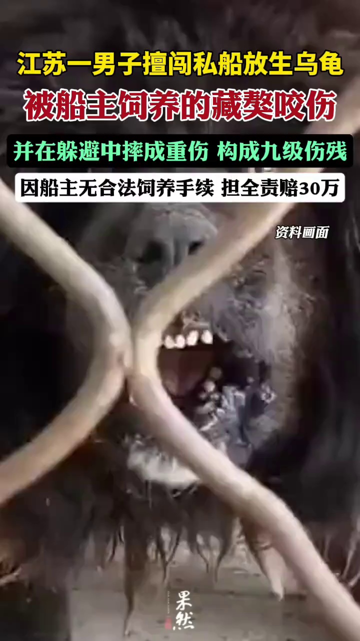 男子擅闯私船放生，被船主藏獒咬伤，船主担全责赔偿30万