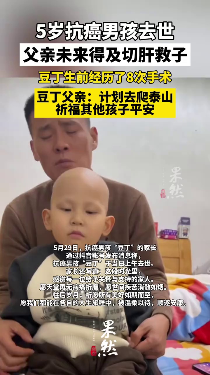 5岁抗癌男孩豆丁换肝未果不幸去世（极目新闻）
