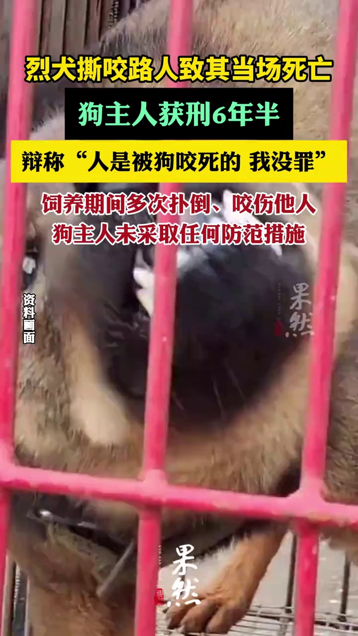 烈犬撕咬路人致死狗主人获刑6年半（豫法阳光）