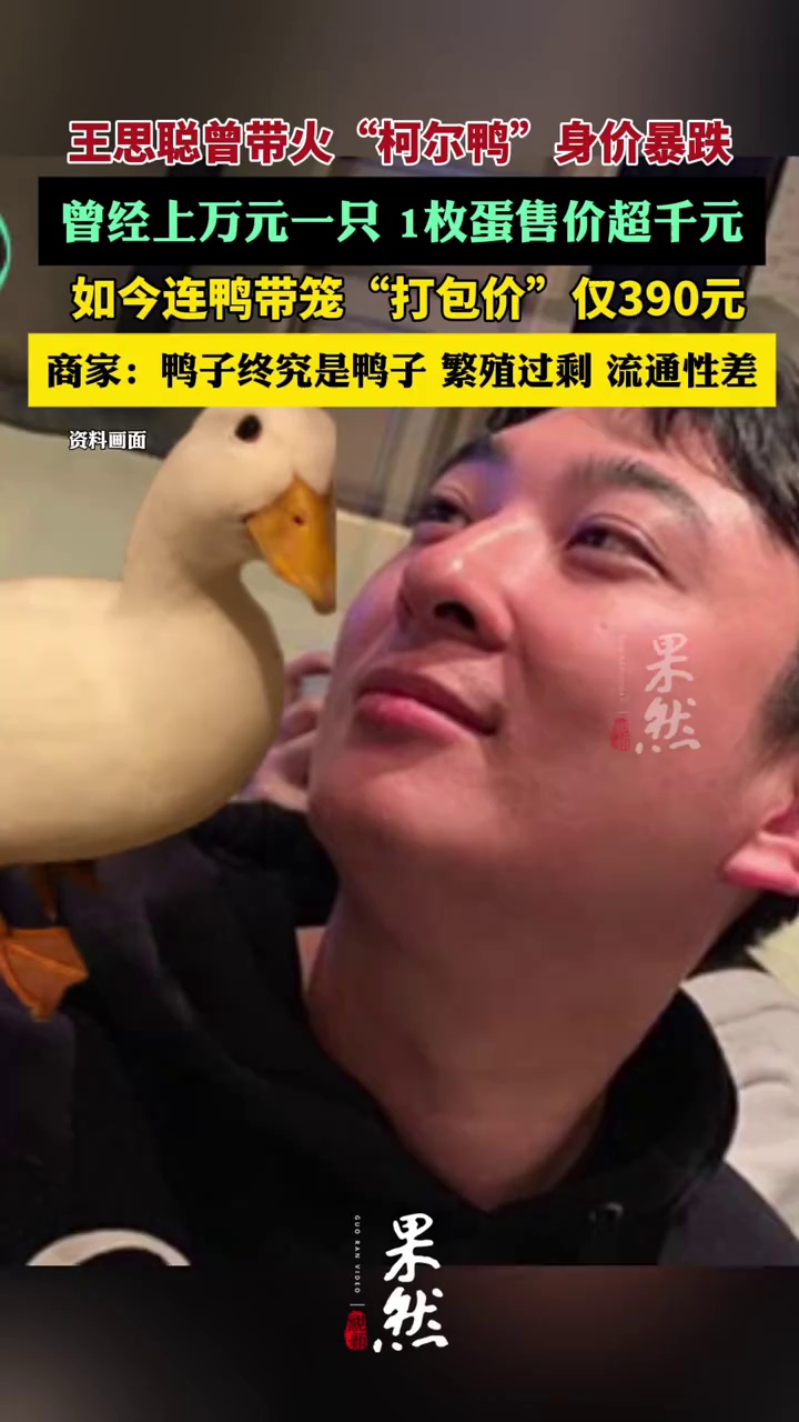 商家回应曾超万元柯尔鸭身价暴跌：鸭子终究是鸭子，繁殖过剩，流通性差（长江日报）