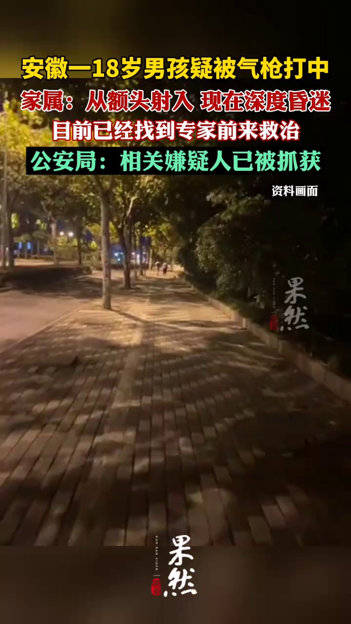 男孩疑被气枪打中警方抓获嫌疑人