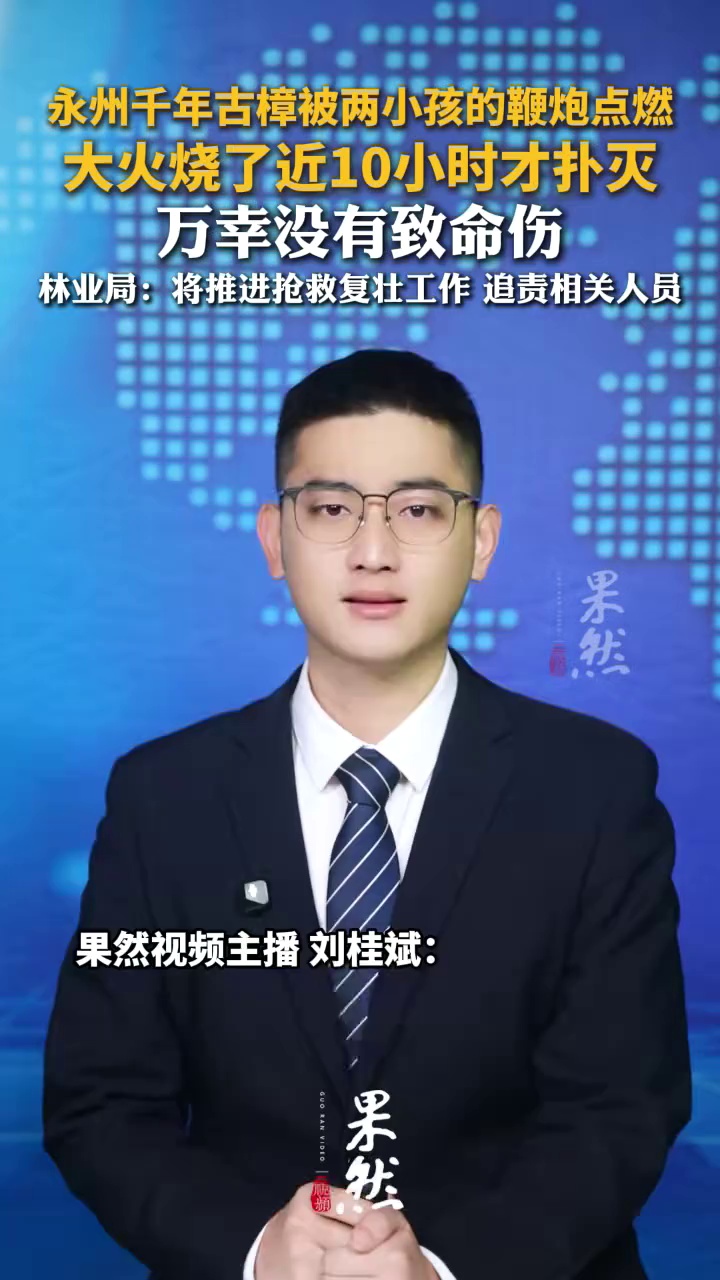 湖南永州一棵活了1200年的古樟树，竟被两个小孩的鞭炮点燃了！