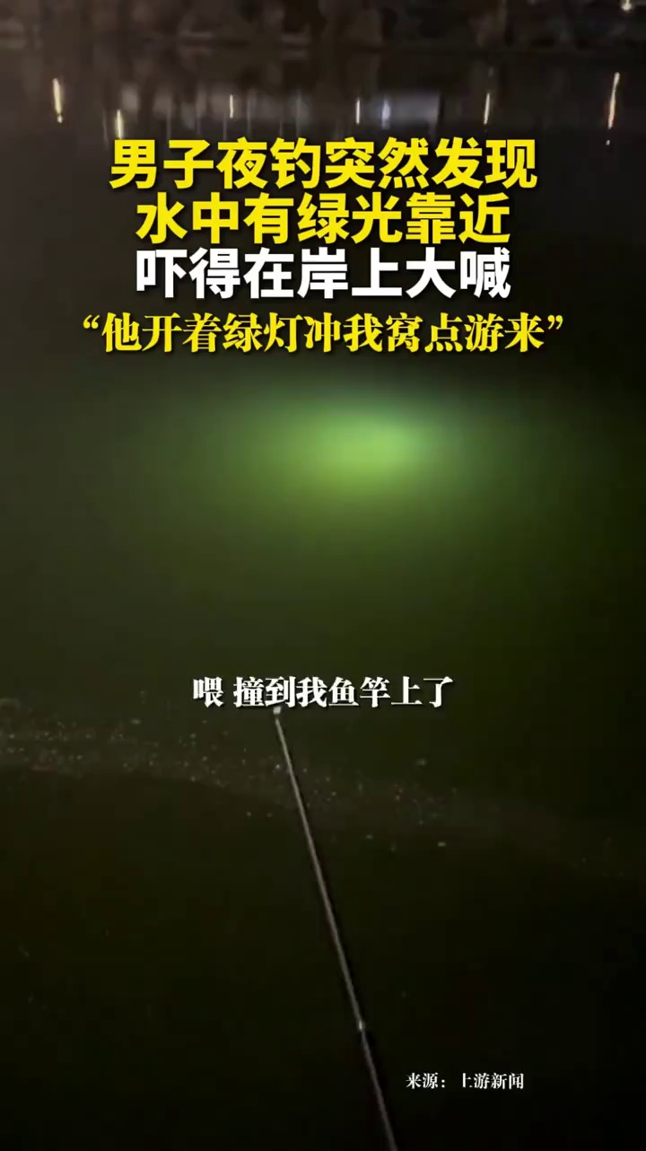 男子夜钓突然发现水中有绿光靠近，吓得在岸上大喊“他开着绿灯冲我窝点游来”