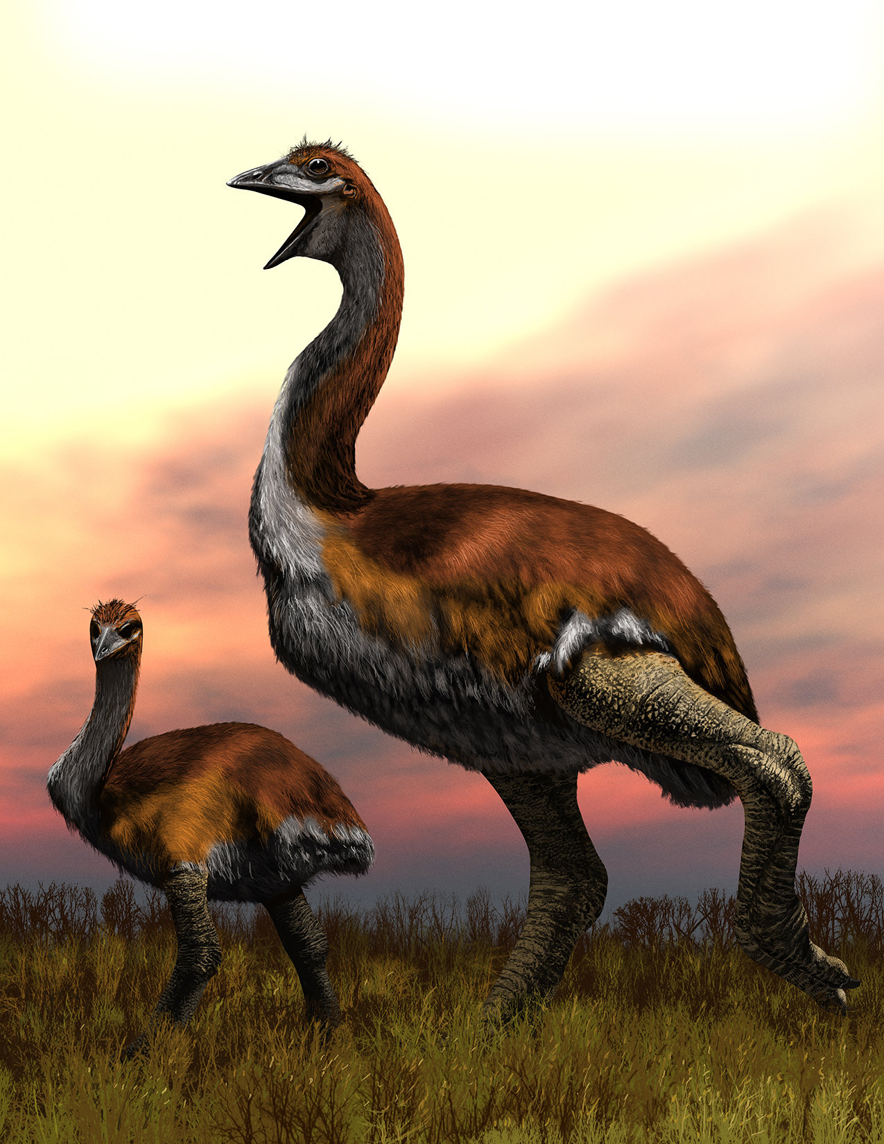史上最大巨鸟,体型堪比小型恐龙!