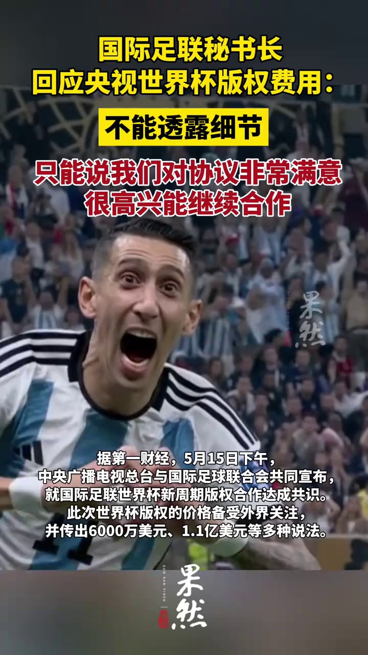 国际足联秘书长回应央视世界杯版权费用：不能透露细节（第一财经）
