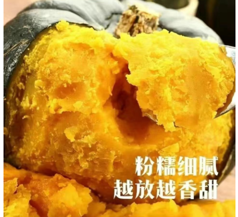 真贝贝南瓜高档礼盒产地直发粉糯香甜宝宝辅食5000箱