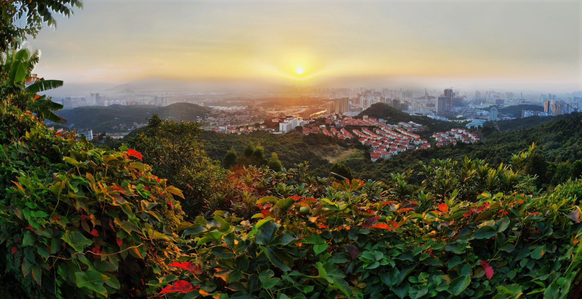 第一项"永久通讯处",很清晰地填写着:福建省莆田县城厢公社延寿大队
