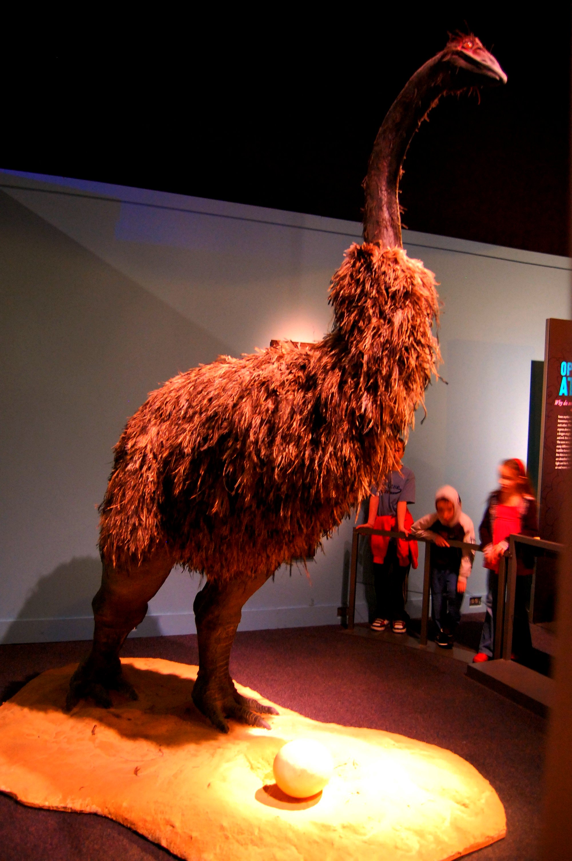 史上最大巨鸟,体型堪比小型恐龙!