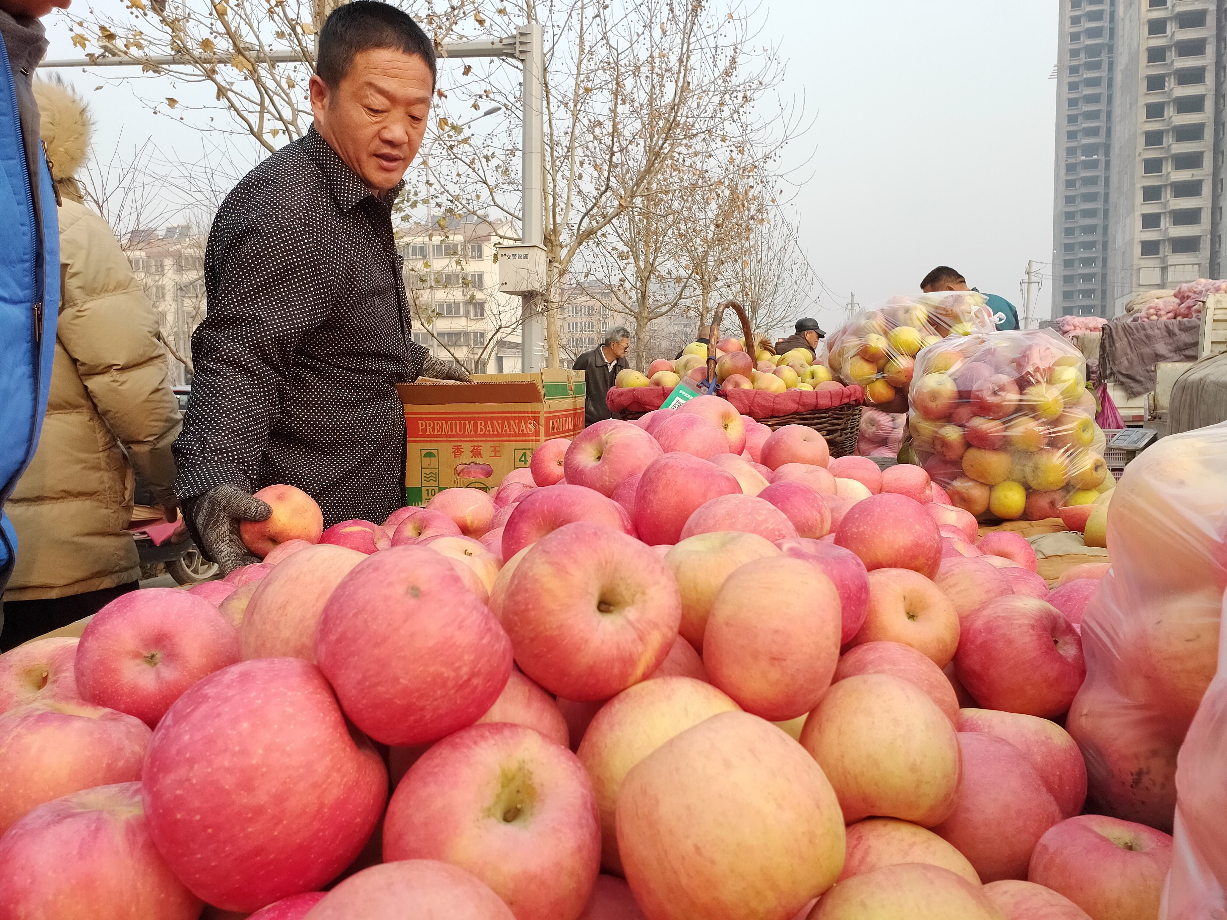 一车5吨苹果十天卖完多挣点钱回家过年