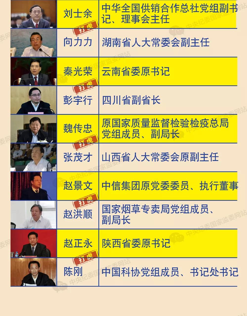 2019打虎简报打虎不停但不仅仅是打虎