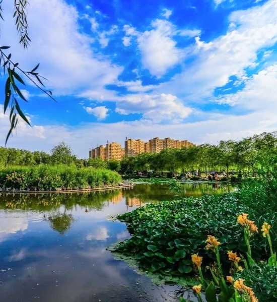 禹城湿地公园图片