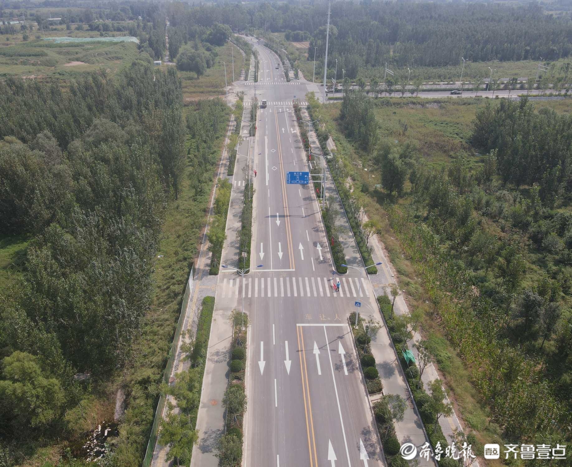 绿荫横贯原野，看济南起步区横一路绿化成果