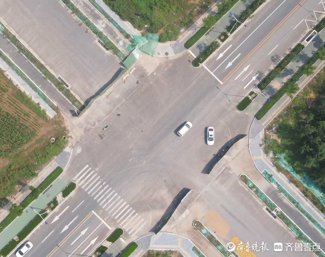 绿荫横贯原野，看济南起步区横一路绿化成果