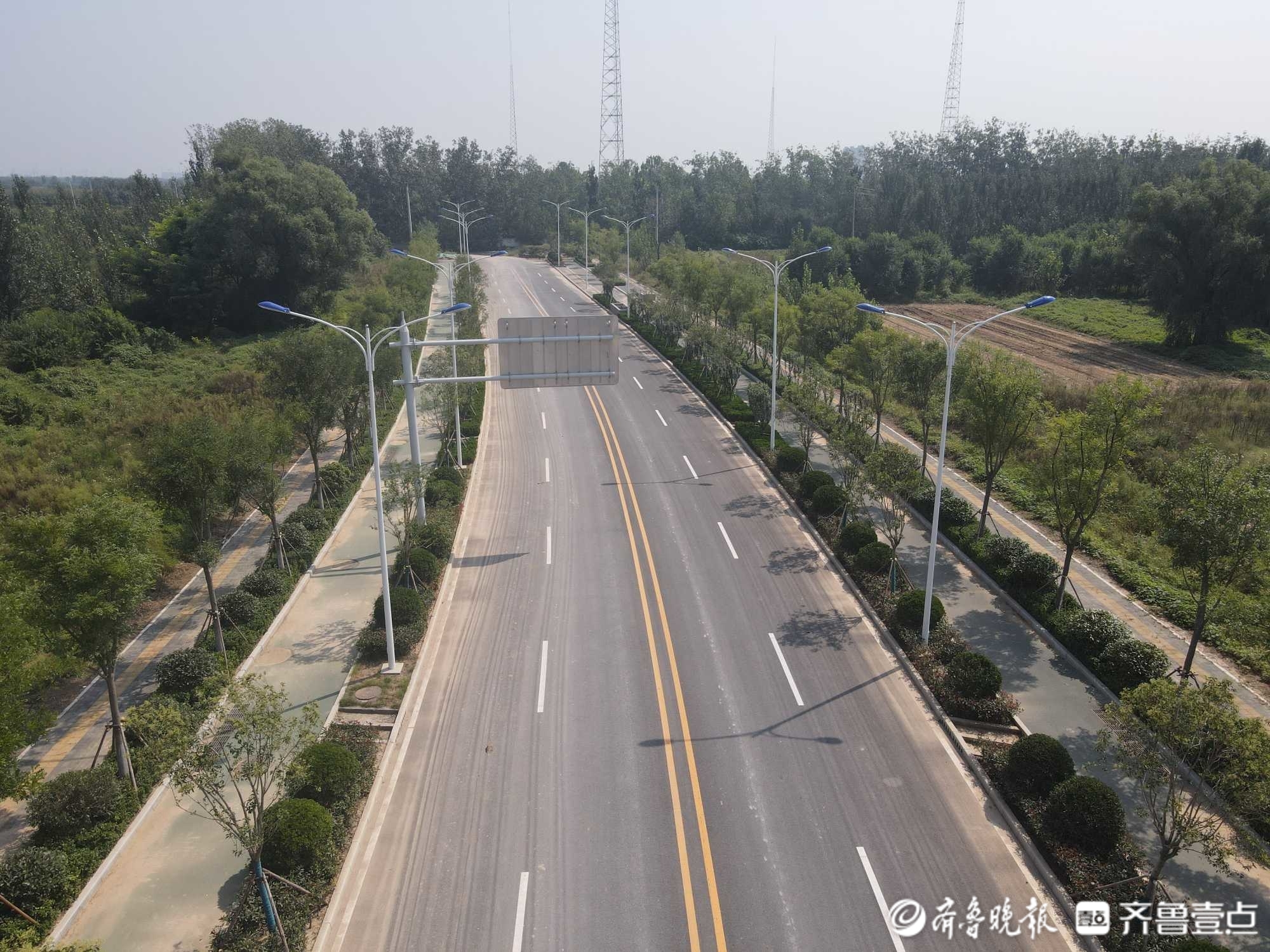 绿荫横贯原野，看济南起步区横一路绿化成果