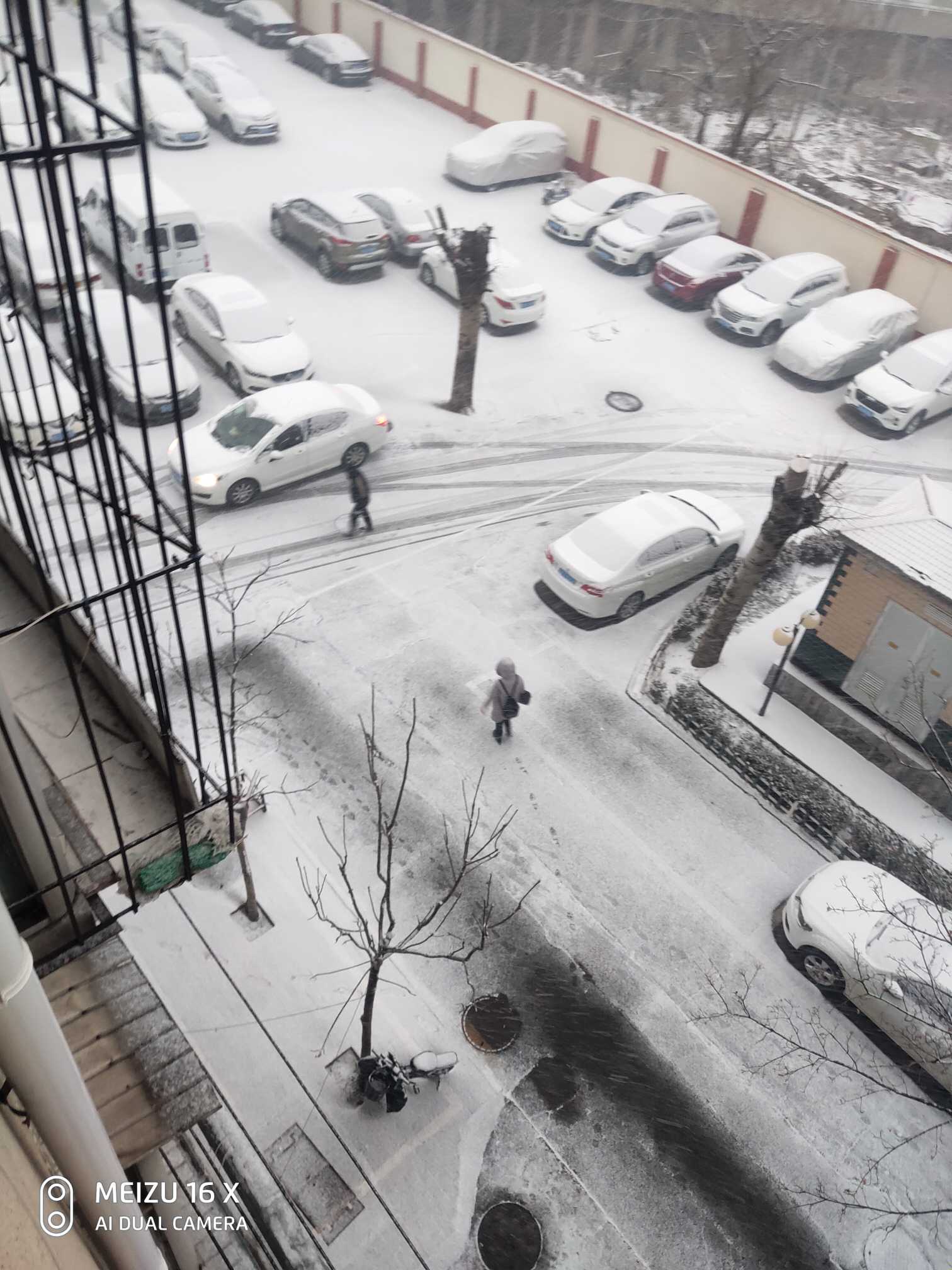 下雪啦丨濟南又見雪花飄