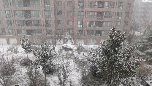 又下雪啦！瑞雪兆丰年！外面的雪还在继续下着！今年又是个丰收年