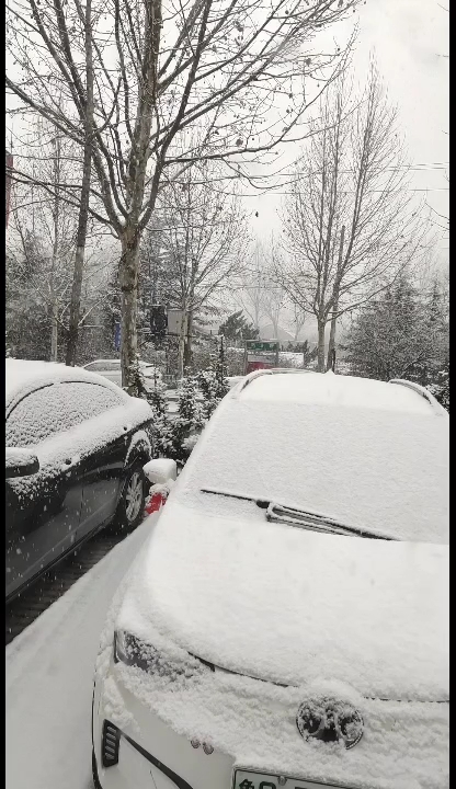 蒙阴县下大雪了，来打雪仗啊！ 