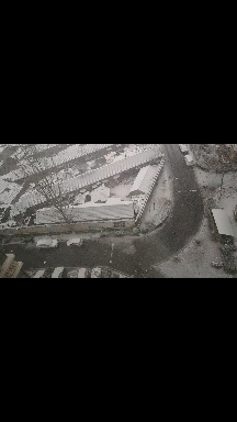 一觉醒来雪花飞#瑞雪兆丰年，你那里下雪了吗？#  