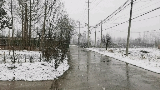 今天早晨邹城市飘起了雪花～ 