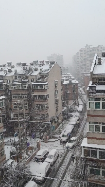 #瑞雪兆丰年，你那里下雪了吗？# 今天这雪下的不小 