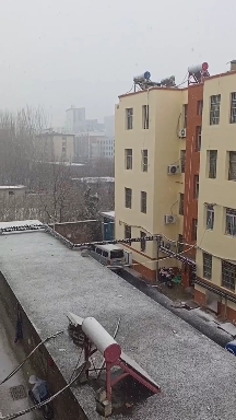 临沂：下雪了#瑞雪兆丰年，你那里下雪了吗？#  瑞雪兆丰年！