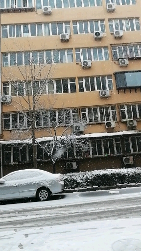 #瑞雪兆丰年，你那里下雪了吗？# 下雪啦！还不小呢！瑞雪兆丰