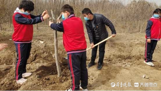 以党建带动少先队建设，商河贾庄中心小学师生参与公益植树
