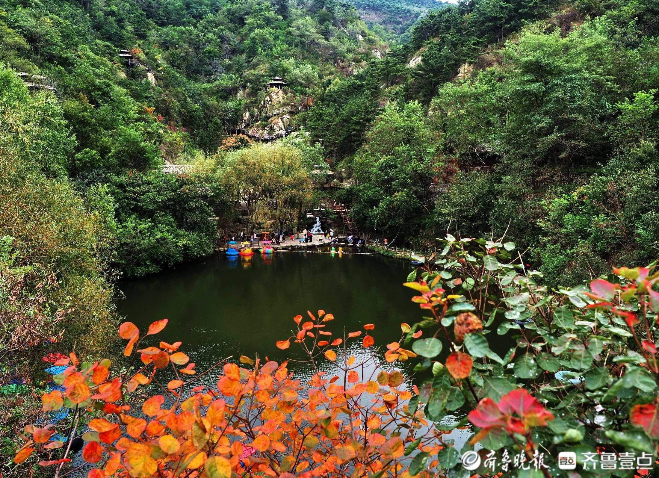 秋雨降温促济南南山变色，静坐红叶瀑布边聆听水声美极了