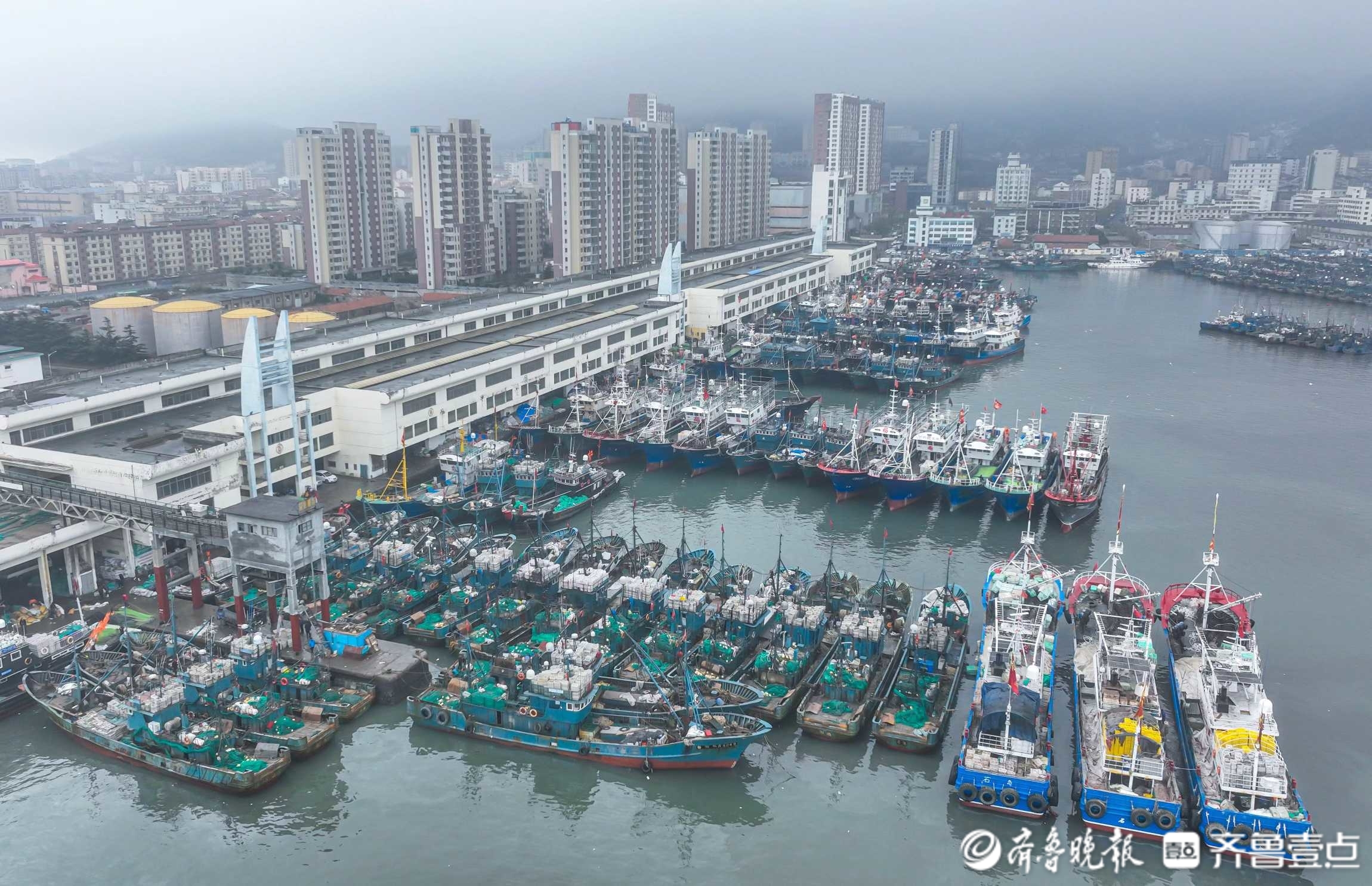 荣成千艘渔船归港，躲避强寒潮和大风