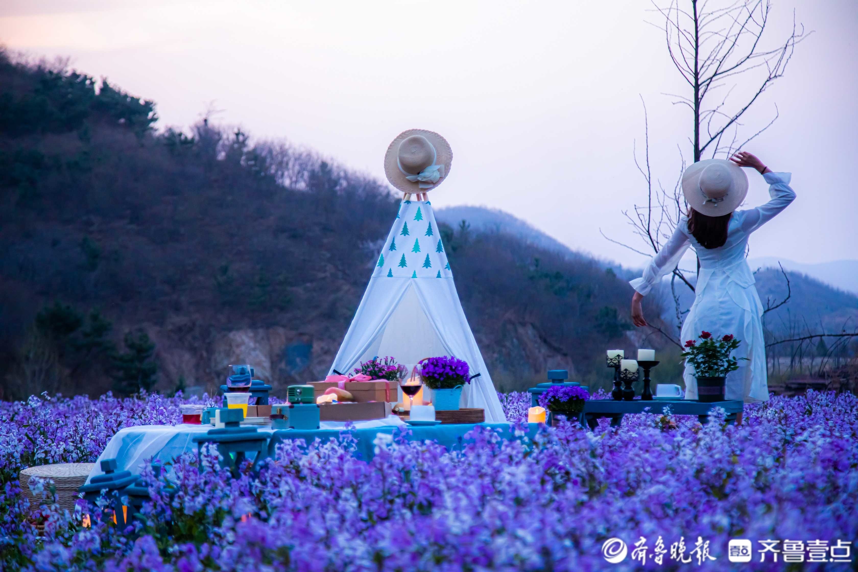 润歌探游|郊游登高、踏青赏花……清明假期济南周边游将成首选