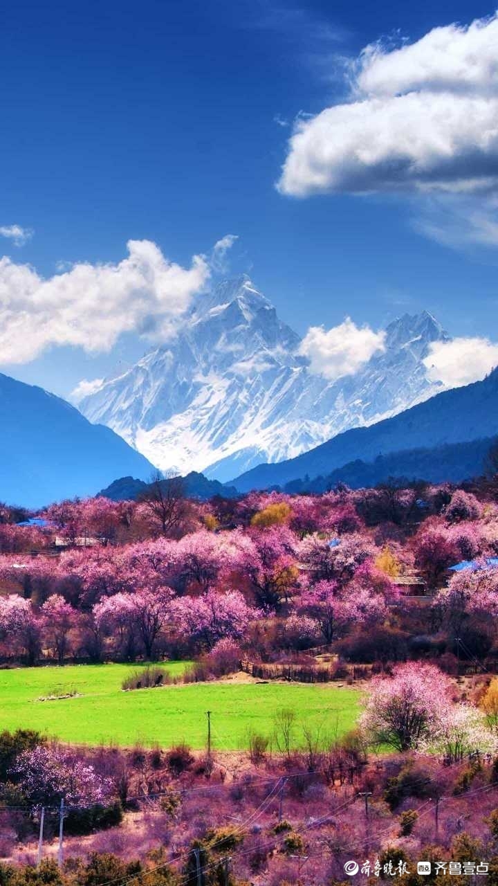 老年人的春天万紫千红全是花把一根根拐杖插在春天的土壤里就会长出一