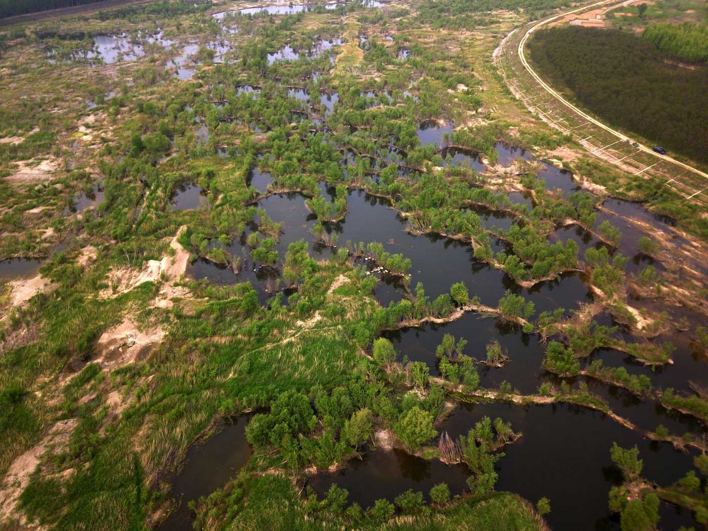 青岛大沽河湿地春季也水流潺潺,垂钓人悠闲自在 -齐鲁晚报·齐鲁壹点