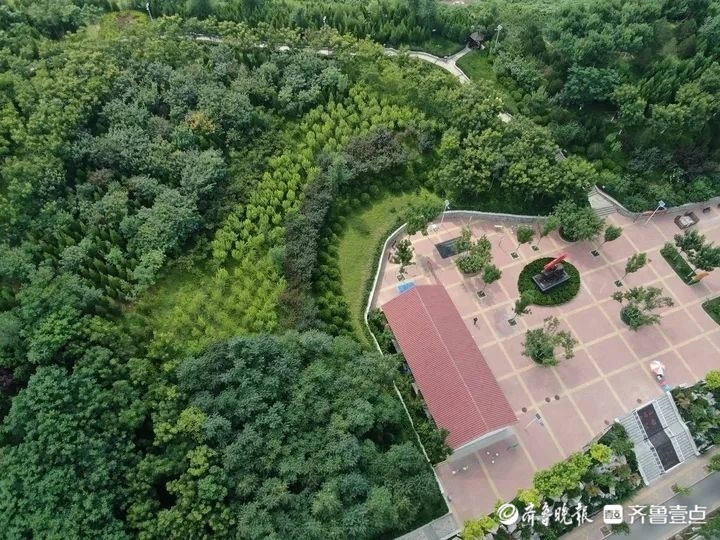 用绿色生态扮靓活力品质强区，济南市中区高标准建设“公园城区”