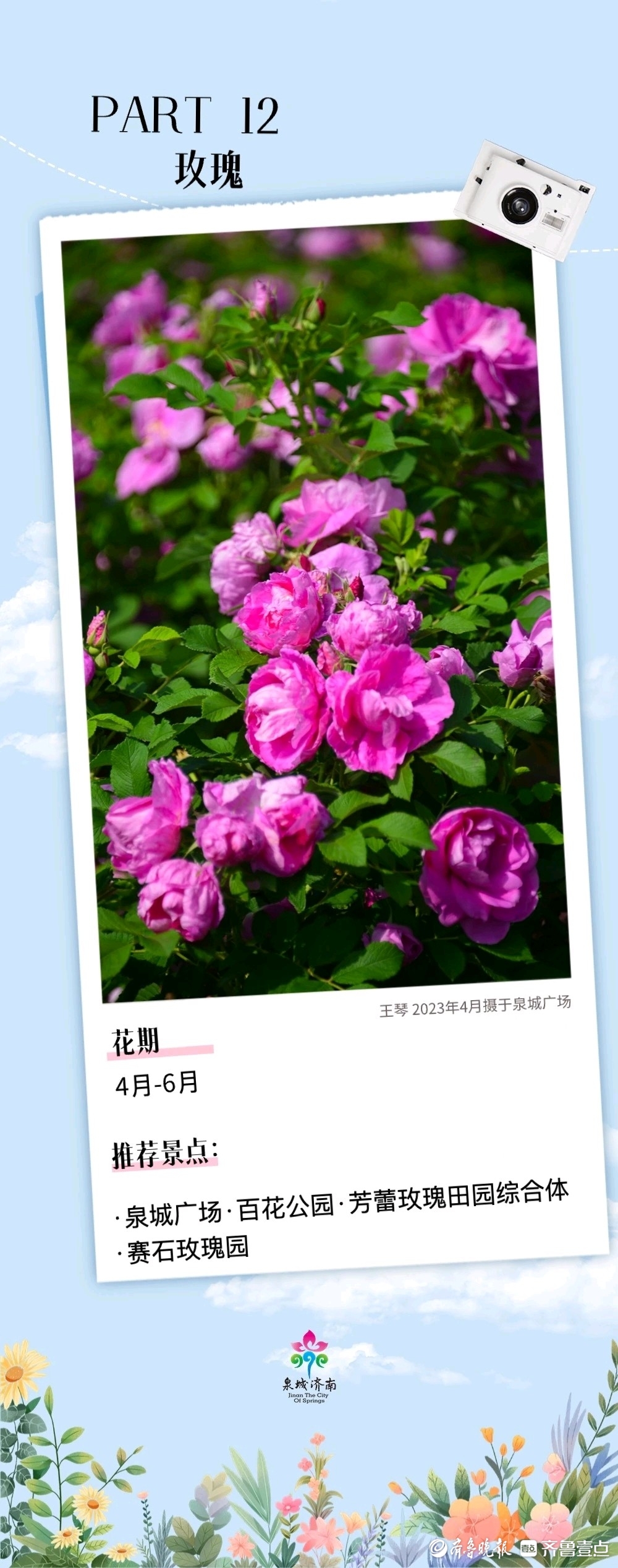 赏花游拉开序幕接下来的一个月济南是这样式儿的