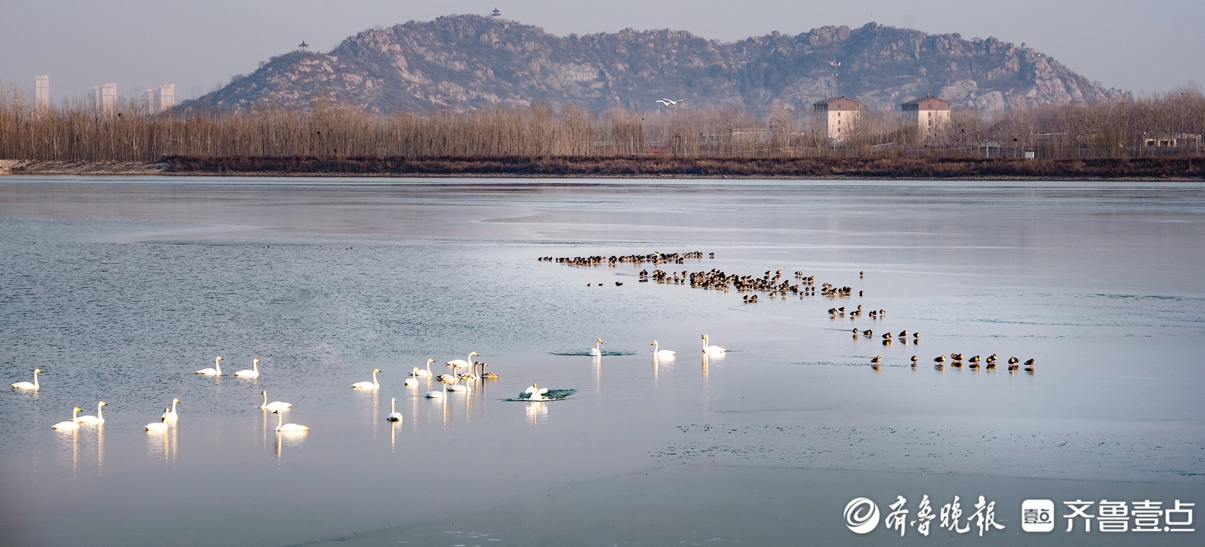 "山东省济南生态环境监测中心生态与遥感室高级工程师杨晓钰告诉记者