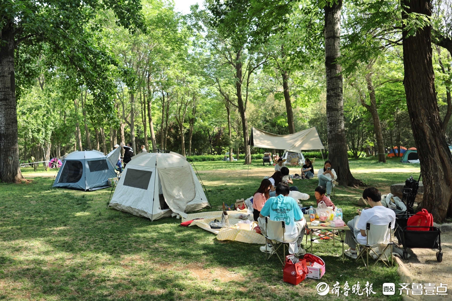 搭帐篷放风筝,济南森林公园成市民露营好去处