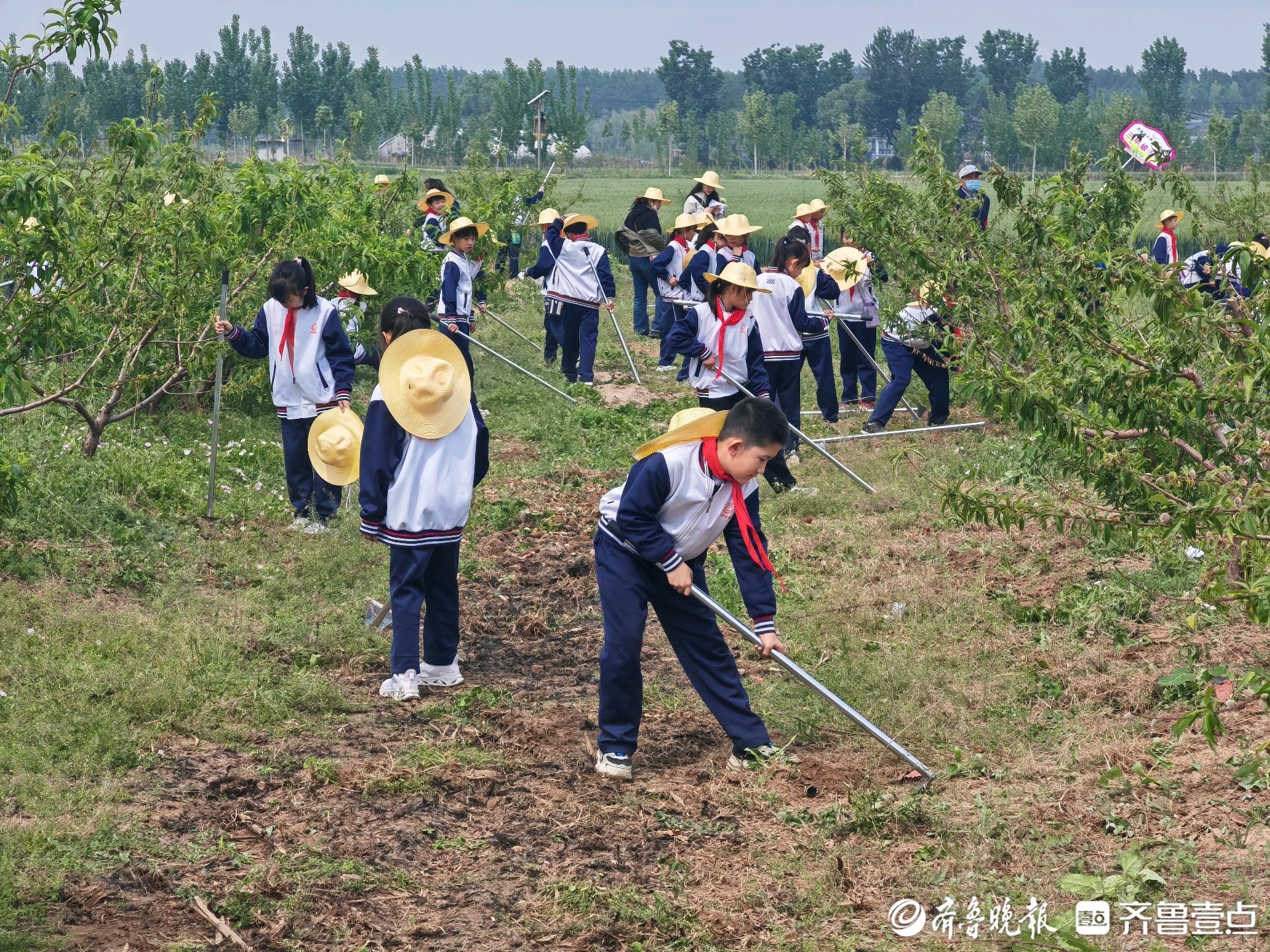 济南“研学游”市场火热背后：一场“游”到“学”的回归
