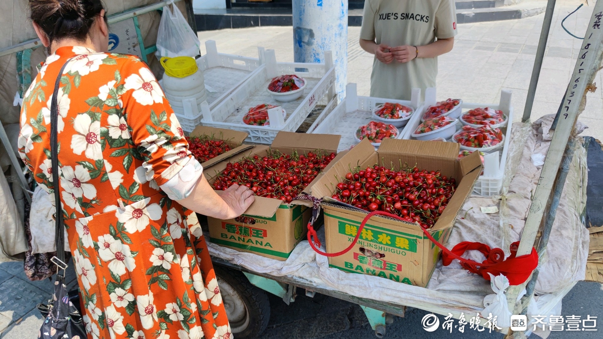 近期樱桃价格下降，5月下旬露天樱桃将迎来大量上市