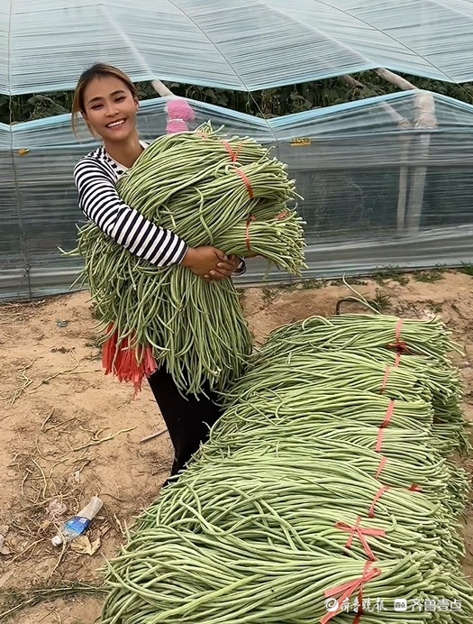 “吃不完，根本吃不完！”夏天每日超600万山东人在吃“豆橛子”