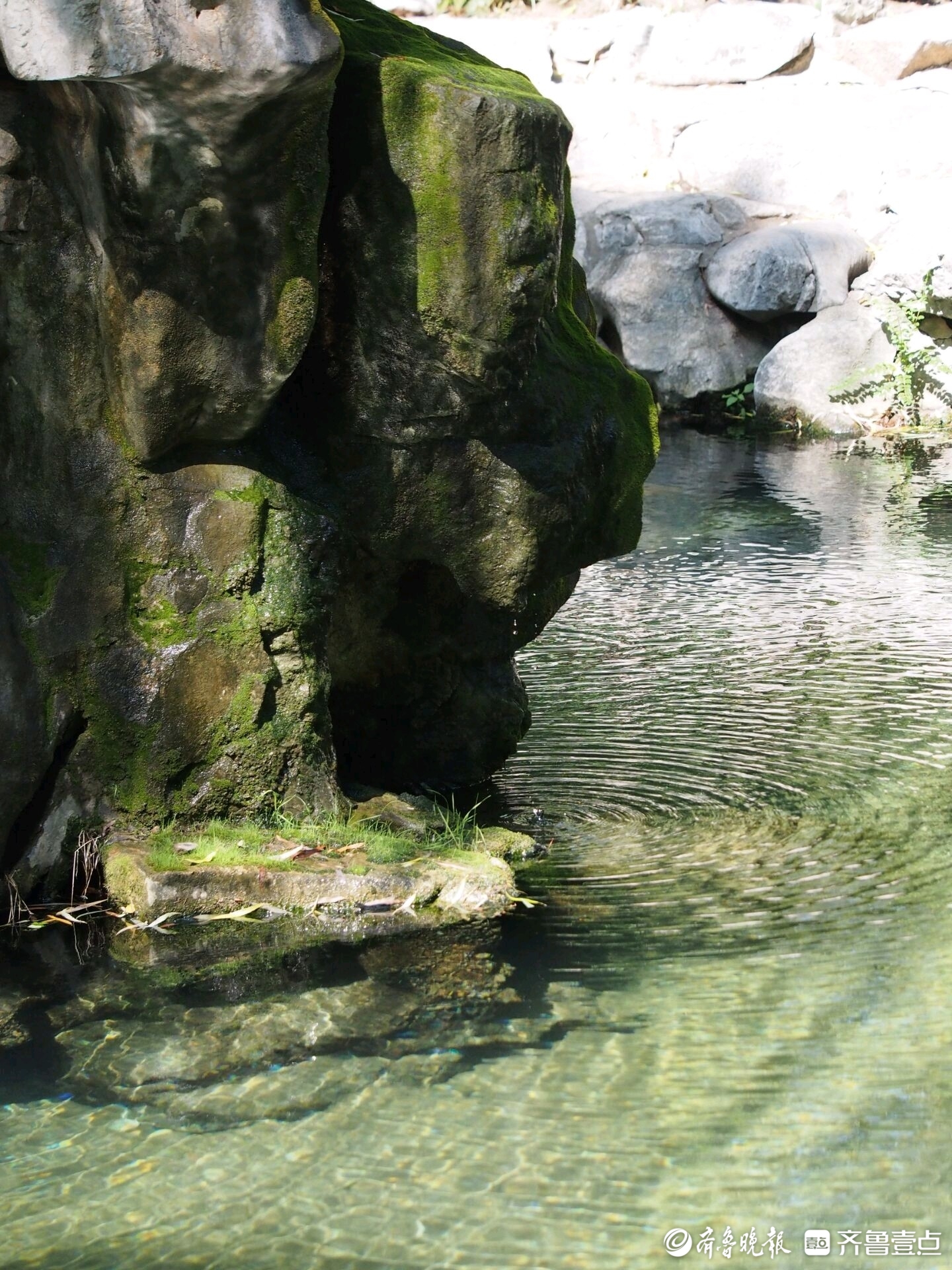 济南泉水水位接近29米大关,久违的月牙泉开始流水