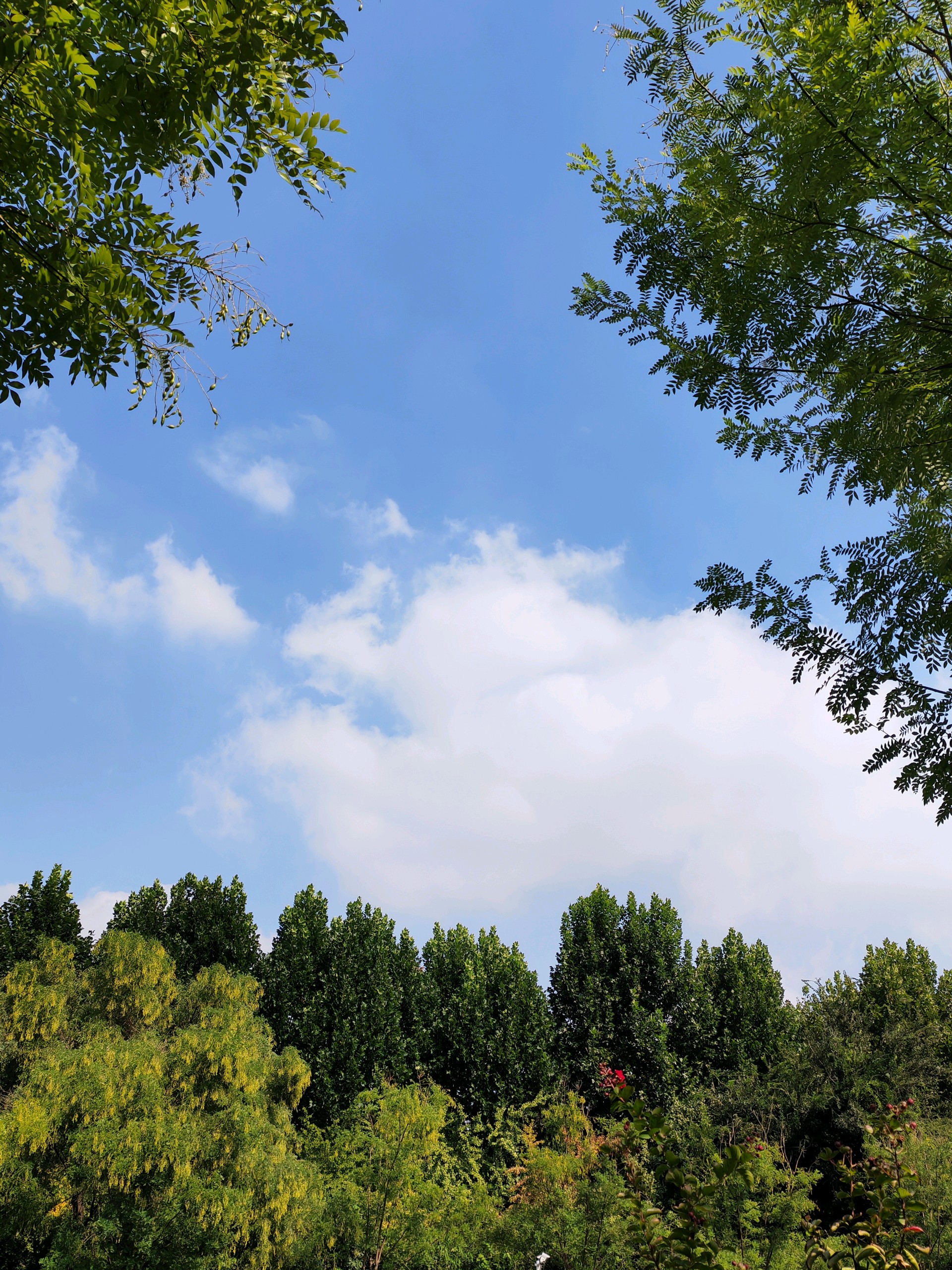 秋天的天气是怎样的预报