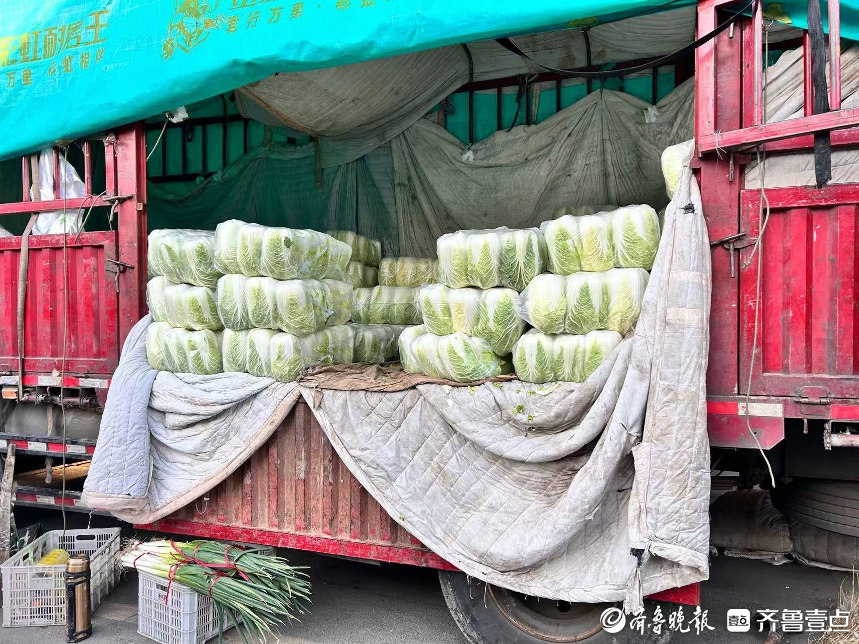 气温逐渐走低，济南市场菜价“稳中有降”