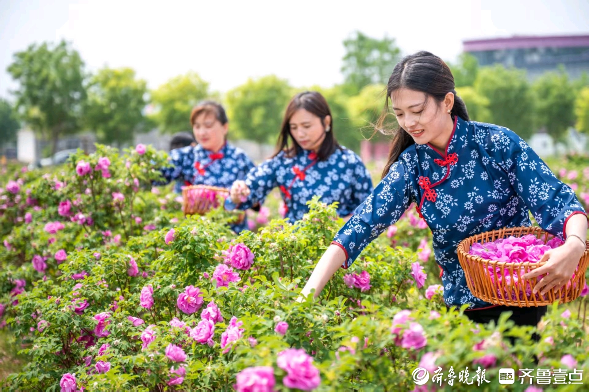 济南市平阴县2025年十件为民实事出炉