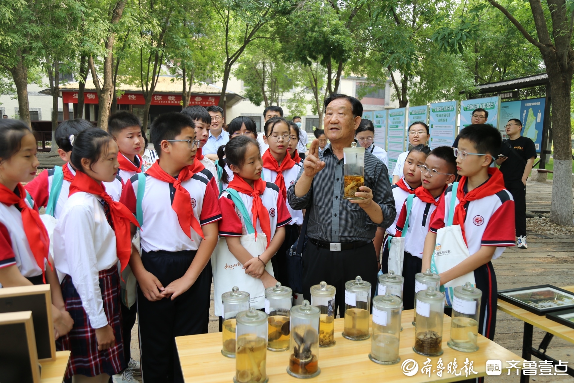 创新驱动发展强劲，槐荫区高新技术企业已达353家