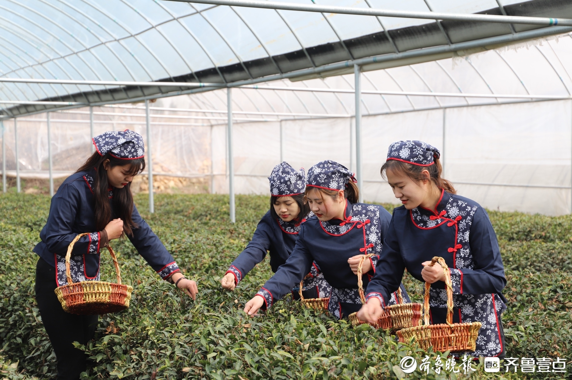 推动乡村全面振兴，长清区今年将实施“百村十片，和美万家”计划