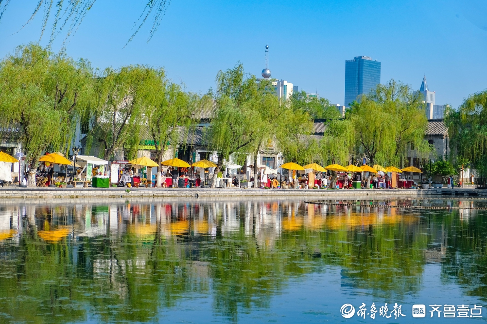 历下区：以绿为笔，绘就“大美历下”生态文明新画卷