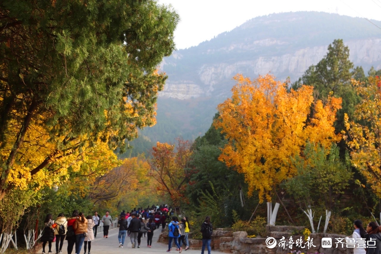 登高贺岁迎新年，“一城山色·登山打卡”2025邀您共赴春山