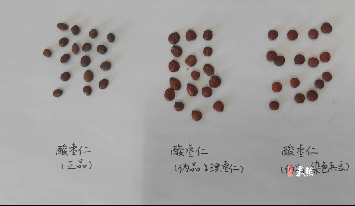 果然视频|酸枣仁有伪品 中药师手把手教您鉴别